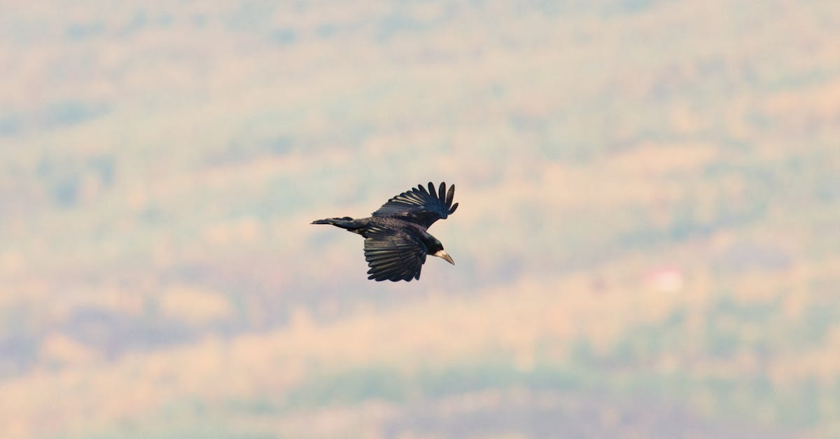 First Aid Essentials for Installation Accidents