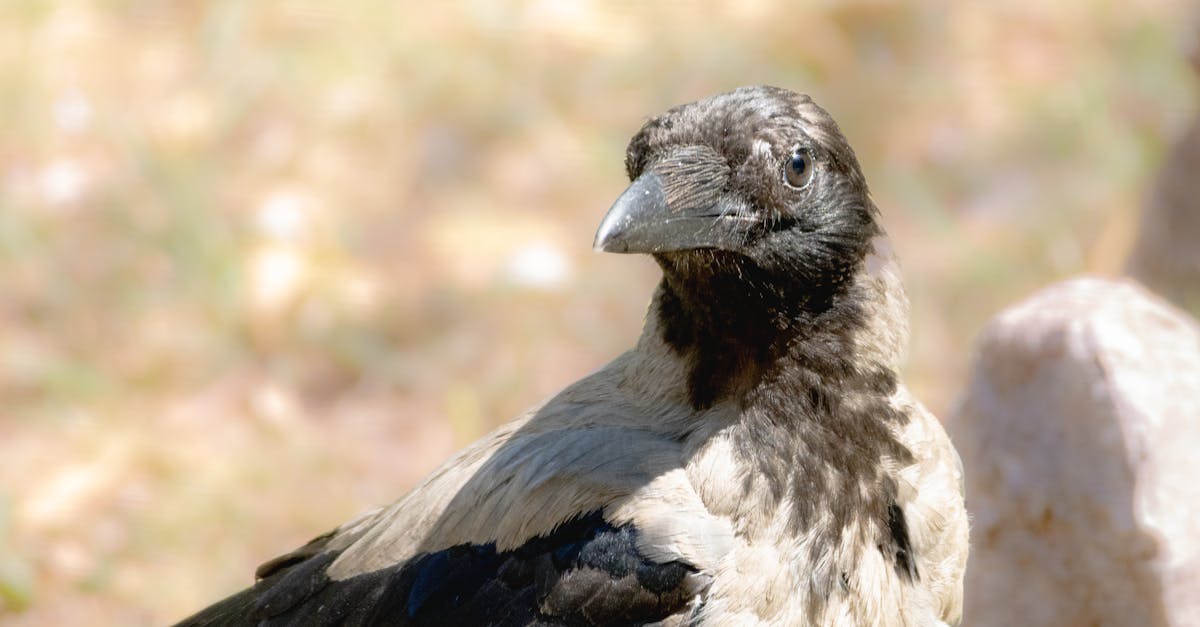 Identifying Common Wear and Tear in Nail Applications