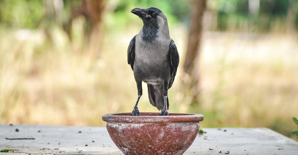 Must-Have Measuring Tools for Accurate Net Installation