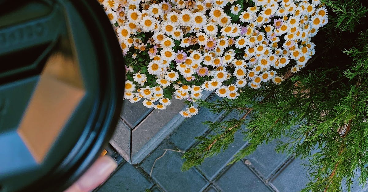 Tools and Materials for Effective Nail and Net Repair