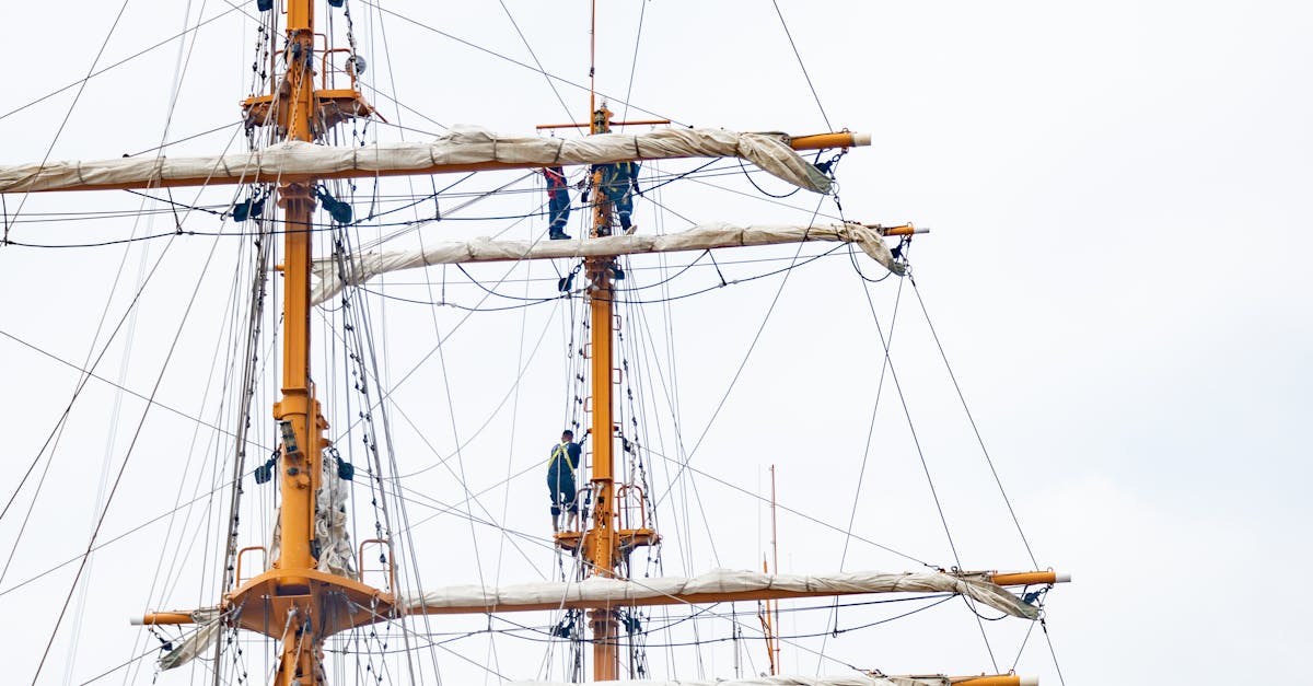 Troubleshooting Damage Issues in Crow Net Installations